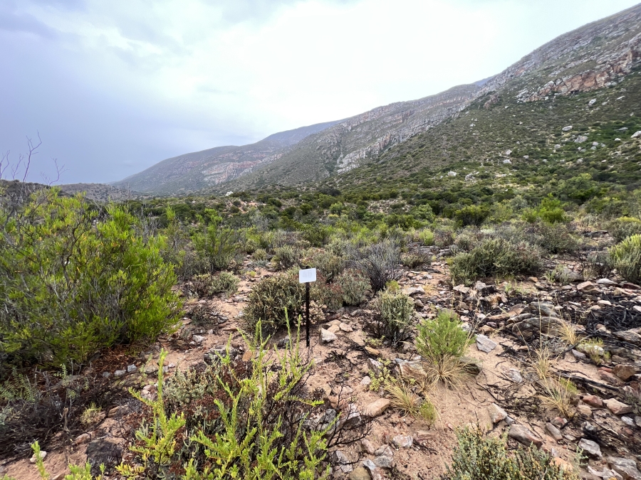 0 Bedroom Property for Sale in Ladismith Western Cape